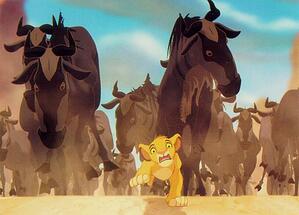 Black Friday Stampede