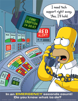 Simpsons - Emergency Plans