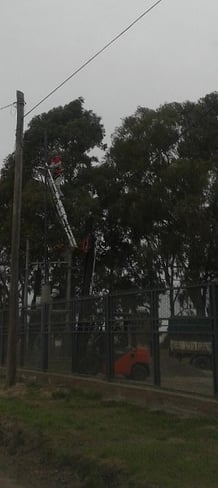 Forklift_Safety_Fail_-_Man_Standing_on_Ladder_on_Forks-Resize